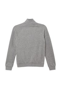 Grijze sweatshirt met een hoge kraag, raglanmouwen en ribgebreide manchetten. De stof is zacht en gestructureerd, met een effen kleur zonder patronen.