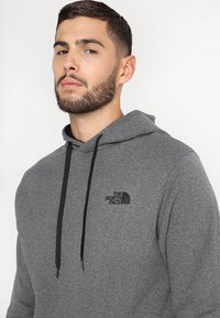 The North Face SEASONAL DREW PEAK - Felpa con cappuccio - dark grey