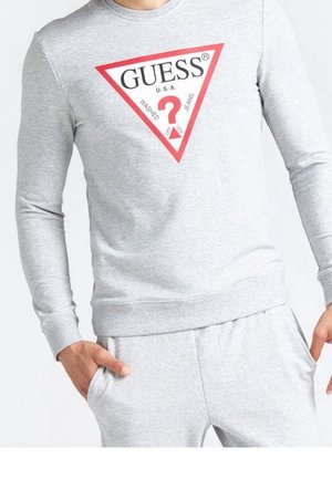 Sudadera - grey