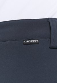 Icepeak FRECHEN - Calças de esqui - dark blue