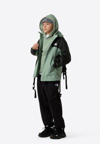 The North Face ANTORA UNISEX jasnozielony