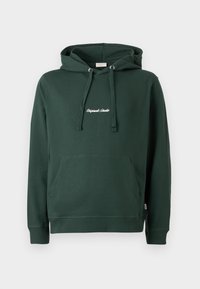 JORNORREBRO EMB  HOOD NOOS - Ikdienas džemperis - sycamore