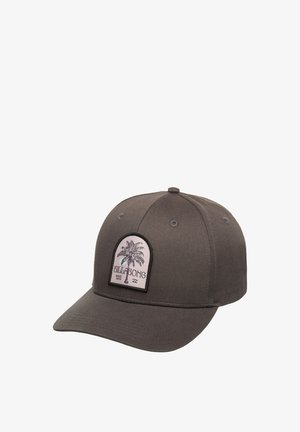 Dark gray Billabong baseball cap with a curved brim and a palm tree patch logo on the front panel.