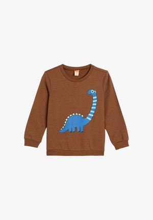 Bruine sweatshirt met een blauwe dinosaurusafbeelding, lichte blauwe strepen en groene accenten. Geribbelde manchetten en halslijn.