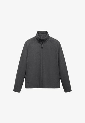 Veste grise avec col montant, fermeture éclair à l'avant et deux poches latérales. Fabriquée en tissu texturé avec une coupe décontractée et des manches raglan.