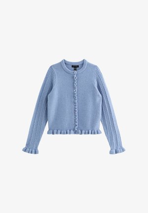 Cardigan tricoté bleu clair avec un col rond, une fermeture par boutons, des poignets côtelés et un ourlet évasé. Présente un motif texturé sur les manches.