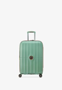 Non sélectionné, sage green