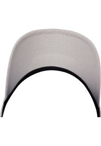 Flexfit Caps - silver/white