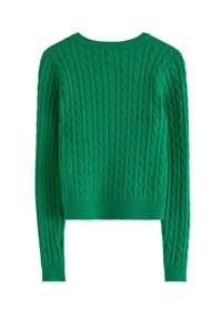 Textured green sweater with a ribbed hem and cuffs, featuring a cable knit design. The sweater is viewed from the back.
