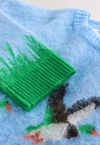 Pull bleu clair duveteux avec un bord-côte vert et un motif tricoté représentant un oiseau noir et blanc avec des touches de vert et d’orange.