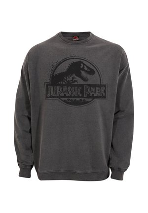 JURASSIC PARK SPRAY LOGO - Sweater - acid washed black