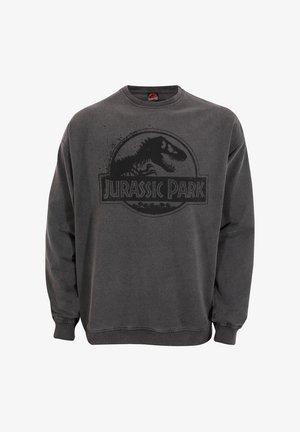 Sweatshirt gris avec un logo noir de Jurassic Park et un graphique de dinosaure, encolure ronde et poignets et ourlet côtelés. Texture de tissu douce.