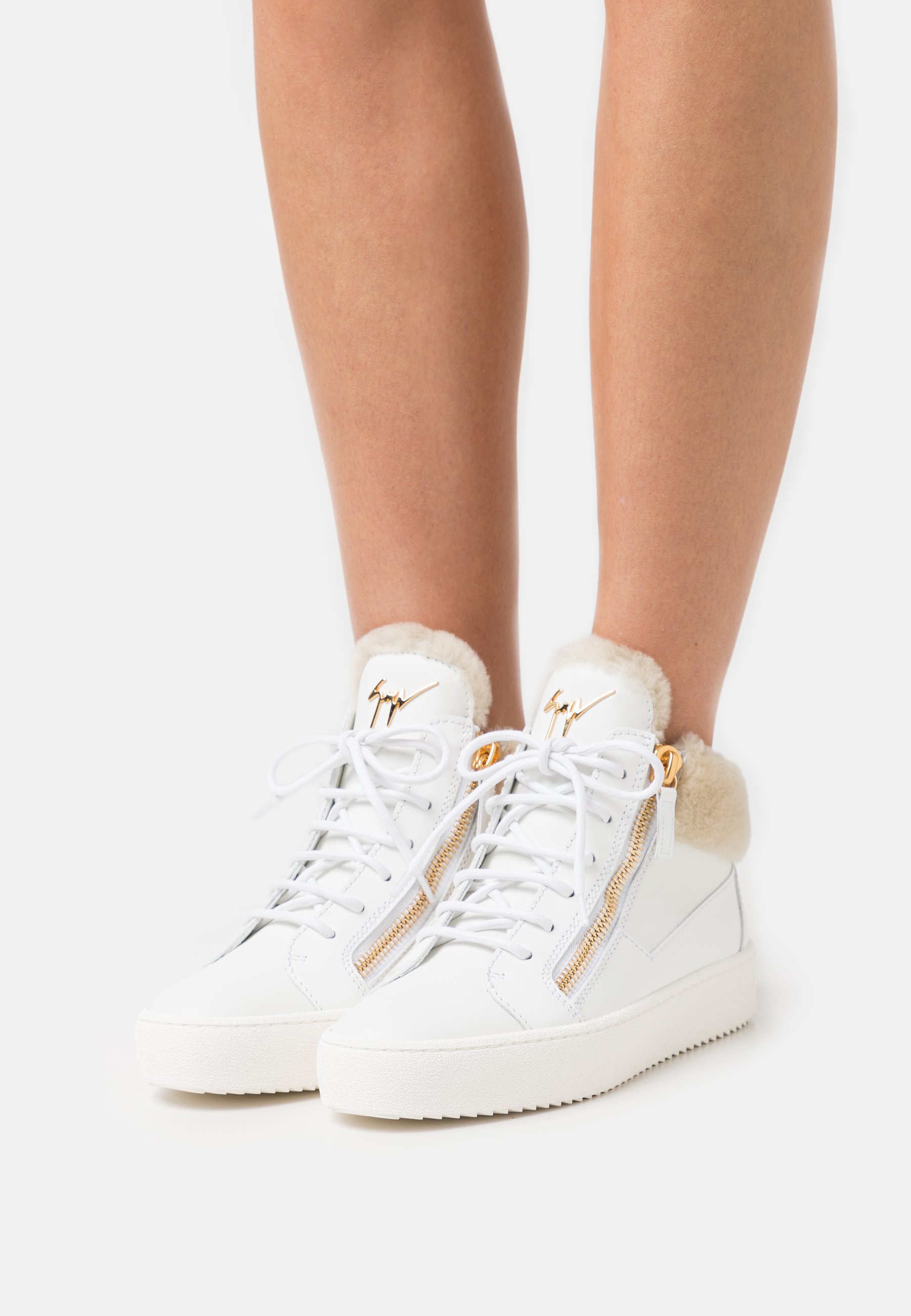 zanotti mid