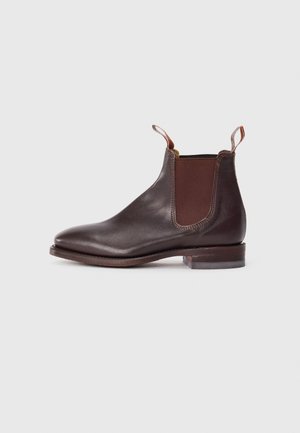 COMFORT CRAFTSMAN UNISEX - Classic ankle boots - chestnut