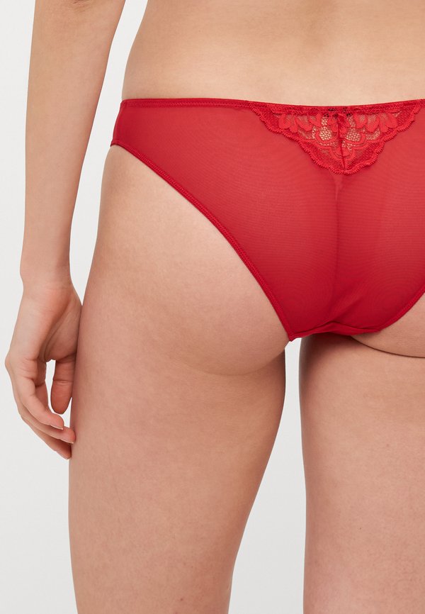 PLANET BRAZILIAN - Briefs2