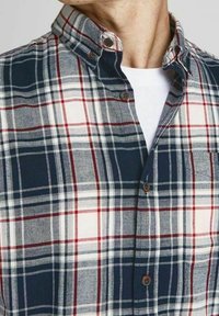 Camicia a quadri blu e bianca con dettagli rossi, con colletto classico e bottoni a contrasto, indossata sopra una maglietta bianca.