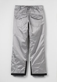 Spyder Pantalón de nieve - silver-coloured