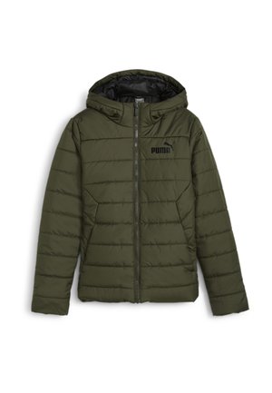 Chaqueta de invierno - green