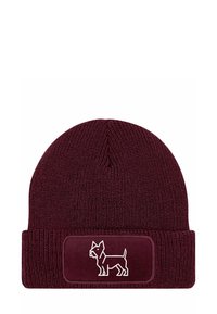 Unselected, labrador bordeauxrot