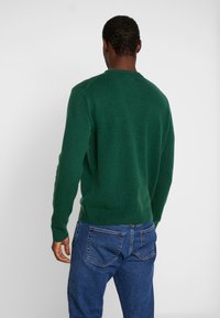 Mann, der von hinten zu sehen ist, trägt einen grünen Langarmpullover und eine blaue Jeans vor einem schlichten weißen Hintergrund.