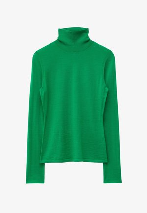 Grüner Rollkragenpullover aus glattem Strickstoff, mit langen Ärmeln und figurbetontem Schnitt sowie hohem Kragen.