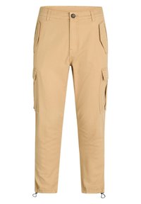 Redefined Rebel RRPLJOLAN - Pantalones cargo - travertine