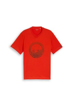 TOM TAILOR, TOM TAILOR T-SHIRT T-SHIRT MIT PRINT - T-shirt imprimé - orange red