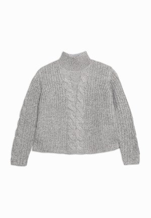 Pull tricoté gris clair avec col montant côtelé, manches longues et motif torsadé central sur le devant et les manches.