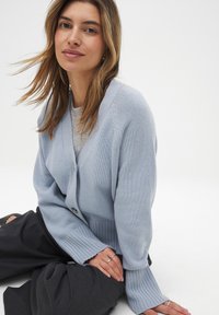 Cardigan en tricot bleu clair avec un col en V, des poignets côtelés et une fermeture à un bouton, associé à un sous-vêtement gris et un pantalon noir.