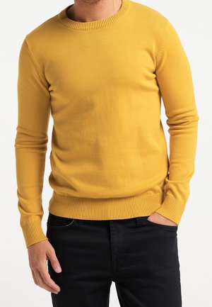 Mand iført en karrygul crewneck sweater med ribstrikkede manchetter og kant, kombineret med sorte bukser, står med den ene hånd i lommen.