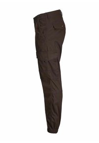 Jack & Jones JPSTPAUL FLAKE - Cargo hlače - delicioso