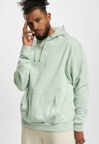 Karl Kani - SMALL SIGNATURE ESSENTIAL HO - Kapuzenpullover - light green Thumbnail-Bild 1