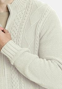 Suéter beige claro con cierre, que presenta un tejido texturizado con patrones de trenzas, puños acanalados y un collar alto para mayor calidez.