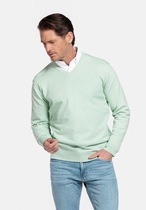 Man die een lichtgroene V-hals trui draagt over een wit overhemd en een blauwe spijkerbroek, staand met één hand in zijn zak en naar beneden kijkend.