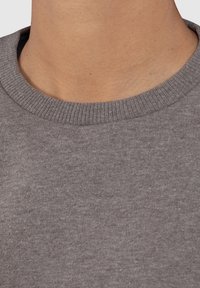 Grijze sweatshirt met een geribbelde ronde halslijn en zacht textielmateriaal, dat een casual ontwerp benadrukt dat geschikt is voor dagelijks gebruik.