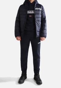 Napapijri Jersey con capucha - blue