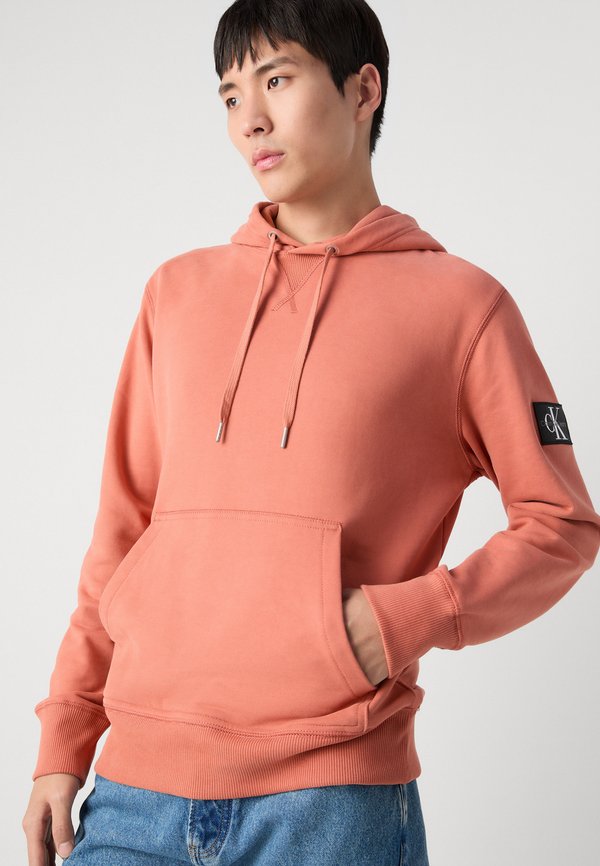 BADGE HOODIE - Sweatshirt - aragon2