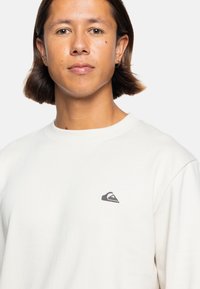 Quiksilver LANGÄRMLIGER - Sweatshirt - birch