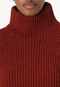 DRYKORN ARWEN - Maglione - red