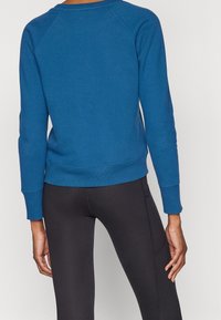 DKNY Sweatshirt - blue
