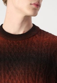 Jack & Jones JORDUKE CREW NECK - Trui -  brown