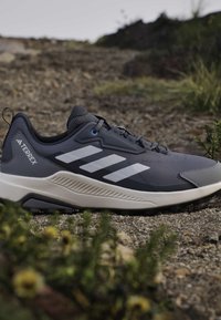 Chaussure de trail running Adidas Terrex grise avec des bandes blanches reposant sur un terrain extérieur rocailleux avec de la végétation.