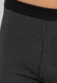 Schwarz- und grau gestreifte Boxershorts mit einem schwarzen elastischen Bund. Der Stoff wirkt glatt mit feinen horizontalen Linien.