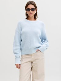 Vrouw draagt een lichtblauwe gebreide trui, beige broek, schildpadkleurige zonnebril en zilveren oorbellen tegen een effen witte achtergrond.