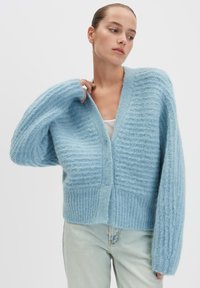 Cardigan lavorato a maglia di un blu chiaro con scollatura a V profonda, polsini a costine e chiusura con bottoni. Presenta motivi testurizzati alternati e una texture morbida e pelosa.