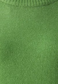 Grüner Strickpullover mit einem gerippten Ausschnitt, strukturierten Oberfläche und glattem Stoff. Die Farbe ist lebhaft und gleichmäßig.