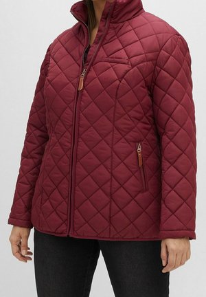 Vinterjakker - dark red