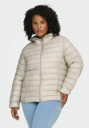 CARTAHIA QUILTED HOOD - Vinterjacka - pumice stone