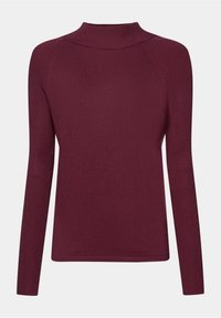 Bordowa bluzka z długim rękawem i wysokim kołnierzem, wykonana z gładkiej dzianiny. Posiada prążkowane wstawki na kołnierzu i rękawach. Prosty design.