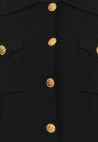 Tissu noir avec des boutons décoratifs dorés, présentant des têtes de lion embossées détaillées et des bords texturés, disposés verticalement et sur les poches.